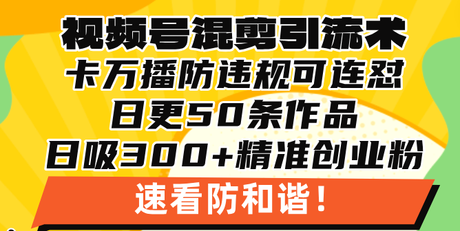 视频号混剪引流技术，500万播放引流17000创业粉，操作简单当天学会-泱泱学习社