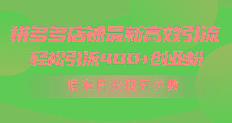 (10041期)拼多多店铺最新高效引流术，轻松引流400+创业粉，精准日变现五位数！-泱泱学习社