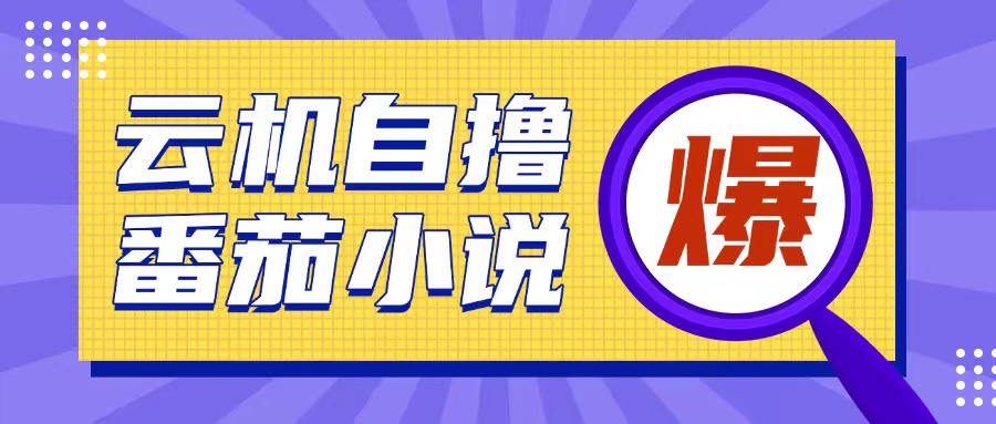 首发云手机自撸小说玩法，10块钱成本可撸200+收益操作简单【揭秘】-泱泱学习社