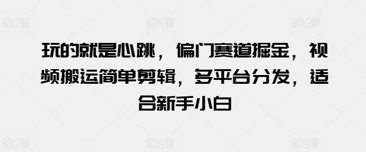 玩的就是心跳，偏门赛道掘金，视频搬运简单剪辑，多平台分发，适合新手小白【揭秘】-泱泱学习社