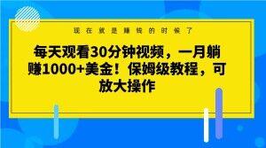 每天观看30分钟视频，一月躺赚1000+美金！保姆级教程，可放大操作【揭秘】-泱泱学习社