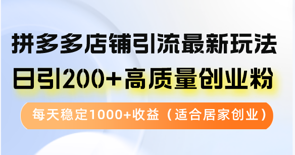 拼多多店铺引流最新玩法，日引200+高质量创业粉，每天稳定1000+收益(…-泱泱学习社