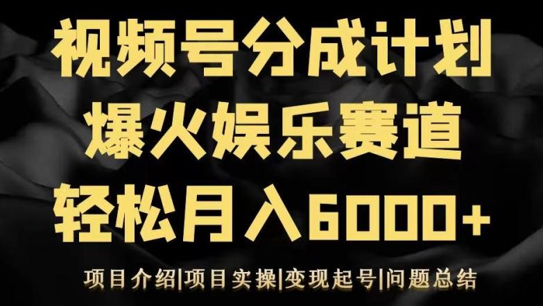视频号创作分成计划之娱乐赛道轻松日入500+-泱泱学习社