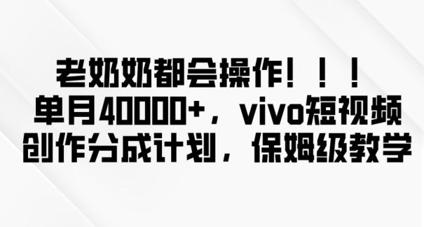 老奶奶都会操作，新平台无脑操作，单月40000+，vivo短视频创作分成计划【揭秘】-泱泱学习社