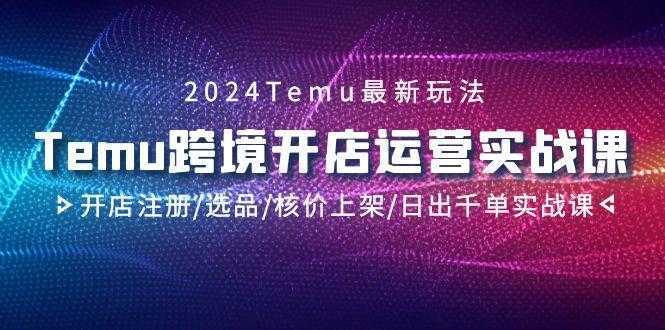 2024Temu跨境开店运营实战课，开店注册/选品/核价上架/日出千单实战课-泱泱学习社