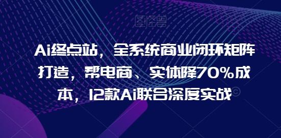 Ai终点站，全系统商业闭环矩阵打造，帮电商、实体降70%成本，12款Ai联合深度实战-泱泱学习社