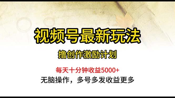视频号最新玩法，每日一小时月入5000+-泱泱学习社