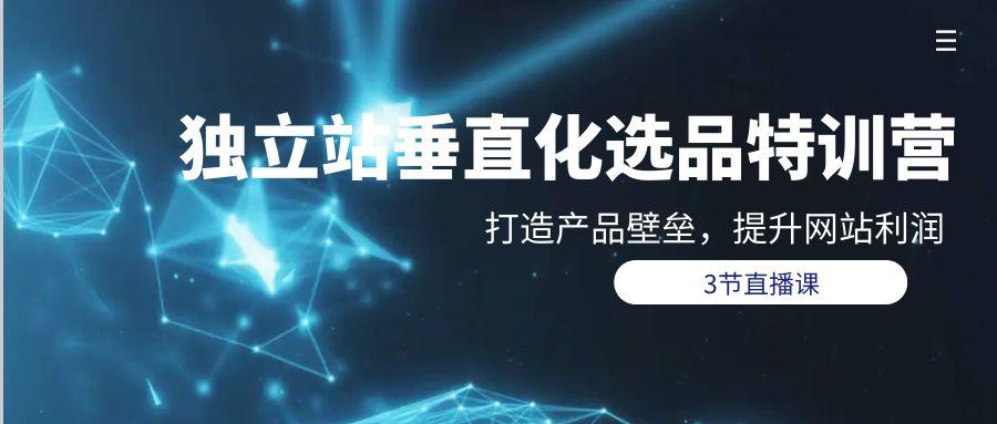 (9925期)独立站-垂直化选品训练营，打造产品壁垒，提升网站利润(3节直播课)-泱泱学习社