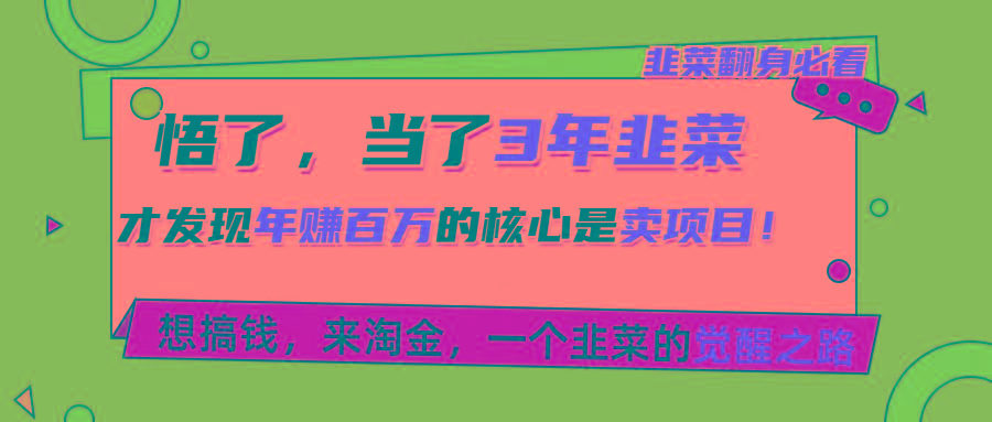 悟了，当了3年韭菜，才发现网赚圈年赚100万的核心是卖项目，含泪分享！-泱泱学习社
