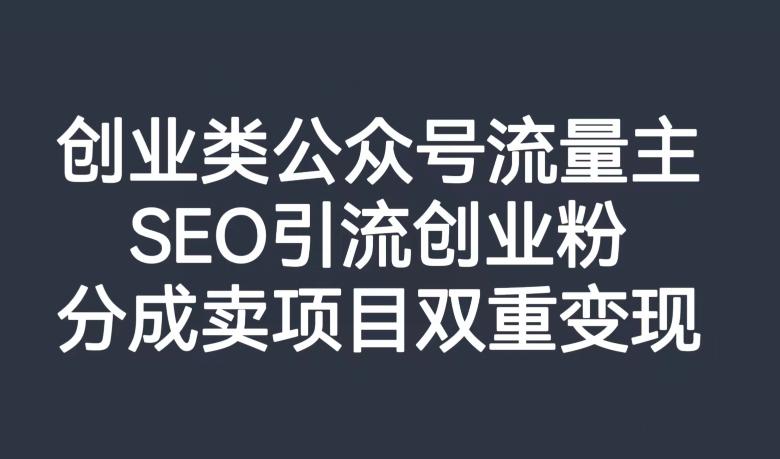 创业类公众号流量主，SEO引流创业粉，分成卖项目双重变现【揭秘】-泱泱学习社
