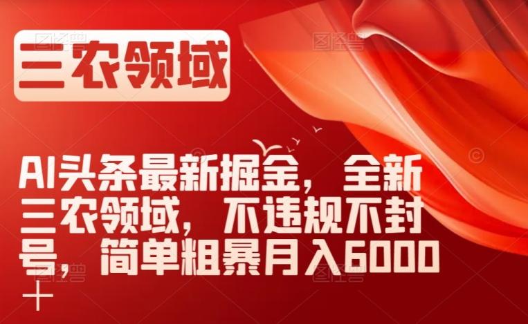 AI头条最新掘金，全新三农领域，不违规不封号，简单粗暴月入6000＋【揭秘】-泱泱学习社