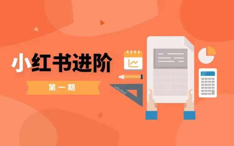 小红书进阶篇，零基础小白实战课，普通人变现的课程-泱泱学习社