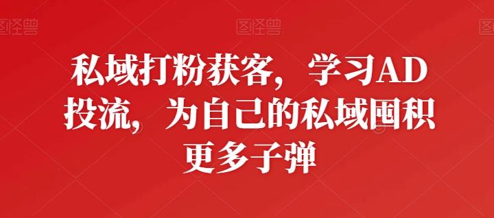 私域打粉获客，学习AD投流，为自己的私域囤积更多子弹-泱泱学习社