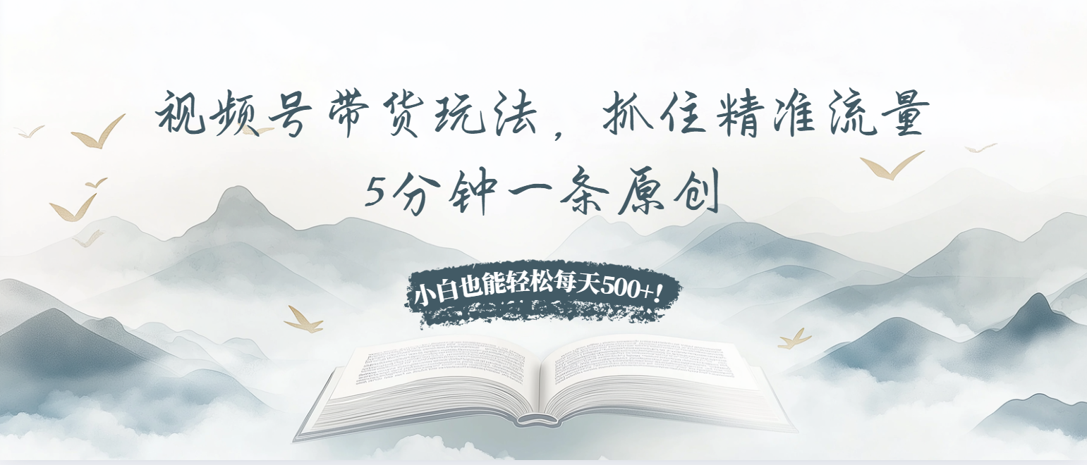 视频号带货玩法，抓住精准流量，5分钟一条原创，小白也能轻松每天500+！-泱泱学习社
