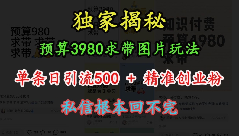 预算3980求带 图片玩法，单条日引流500+精准创业粉，私信根本回不完-泱泱学习社