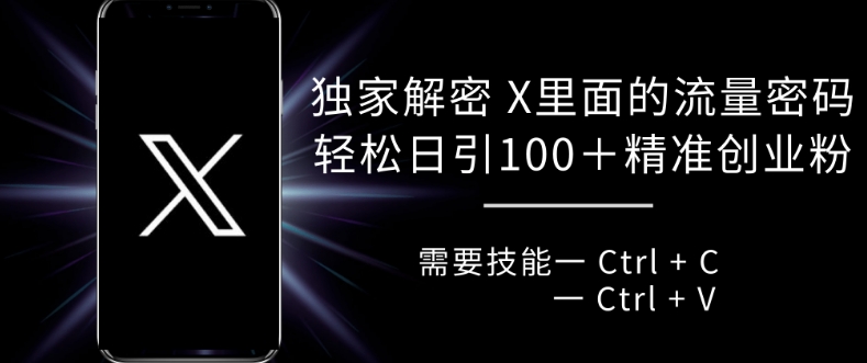 独家解密 X 里面的流量密码，复制粘贴轻松日引100+-泱泱学习社