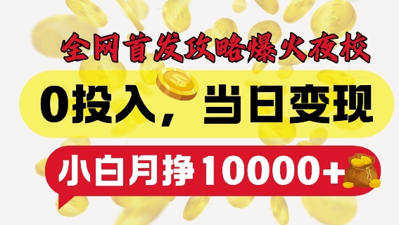 全网首发爆火夜校，0投入，当日变现，小白轻松月入1w+【揭秘】-泱泱学习社