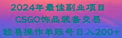 2024年最佳副业项目 CSGO饰品装备交易 轻易操作单账号日入200+-泱泱学习社