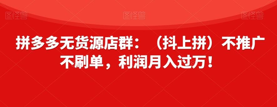 拼多多无货源店群：（抖上拼）不推广不刷单，利润月入过万！【揭秘】-泱泱学习社