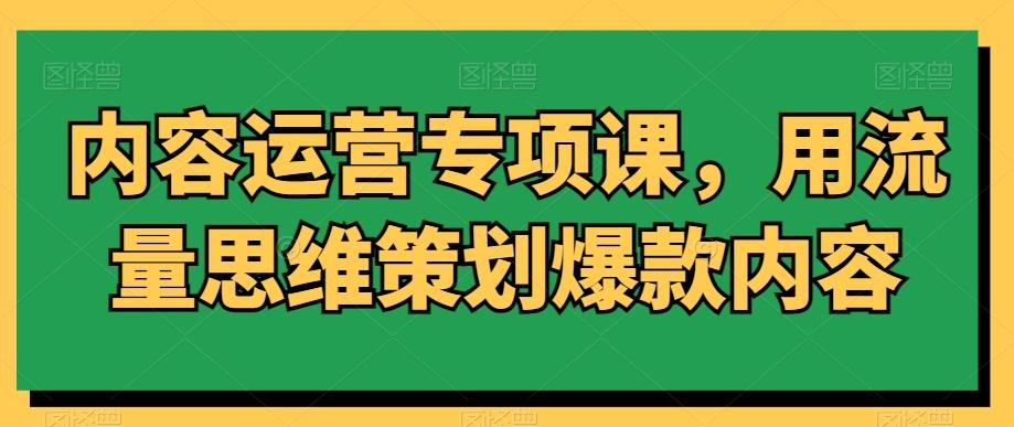 内容运营专项课，用流量思维策划爆款内容-泱泱学习社