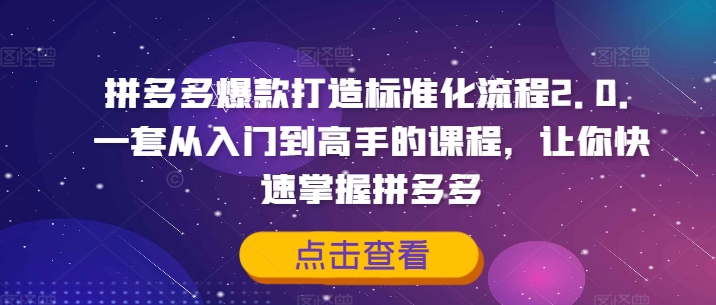 拼多多爆款打造标准化流程2.0，一套从入门到高手的课程，让你快速掌握拼多多-泱泱学习社