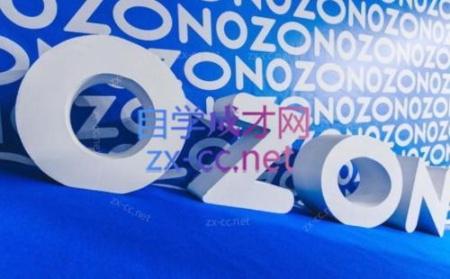 森哥·出海俄罗斯电商实操(2024)-泱泱学习社