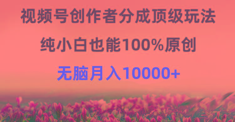 (9608期)视频号创作者分成顶级玩法，纯小白也能100%原创，无脑月入10000+-泱泱学习社