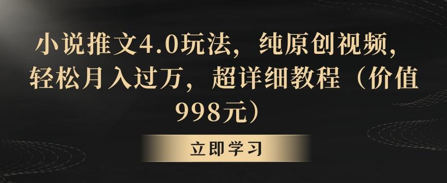 小说推文4.0玩法，纯原创视频，轻松月入过万，超详细教程(价值998元)【揭秘】-泱泱学习社