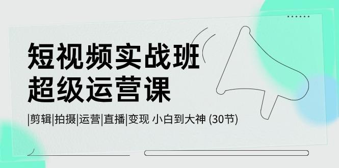 短视频实战班超级运营课 |剪辑|拍摄|运营|直播|变现 小白到大神 (30节)-泱泱学习社