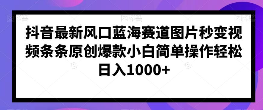 抖音最新风口蓝海赛道图片秒变视频条条原创爆款小白简单操作轻松日入1000+-泱泱学习社
