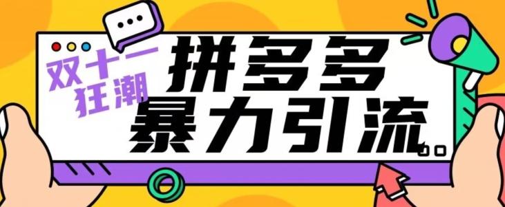 【首发】双十一拼多多暴力引流，日引300+微信-泱泱学习社