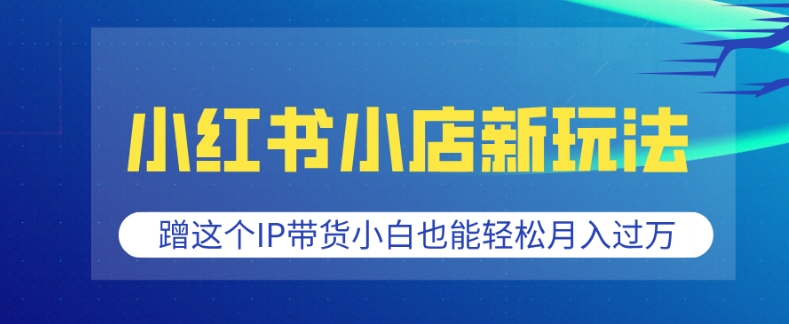 小红书小店新玩法，蹭这个IP带货，小白也能轻松月入过W【揭秘】-泱泱学习社