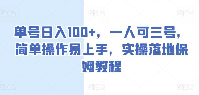 单号日入100+，一人可三号，简单操作易上手，实操落地保姆教程【揭秘】-泱泱学习社