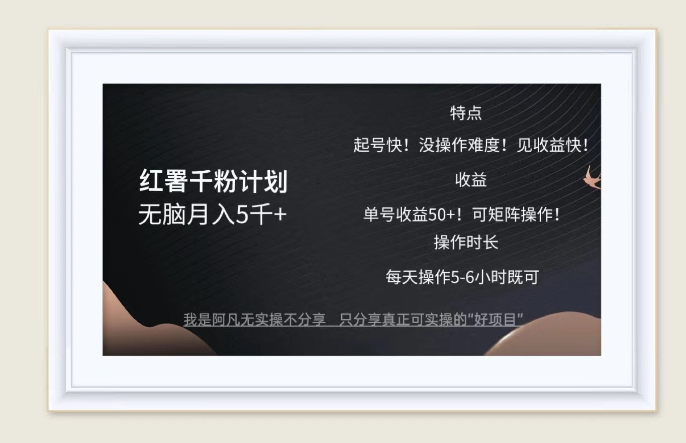 红薯千粉计划无脑月入5千+！既做既赚！-泱泱学习社