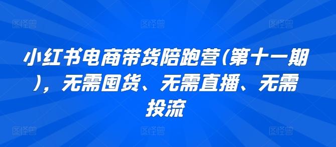 小红书电商带货陪跑营(第十一期)，无需囤货、无需直播、无需投流-泱泱学习社