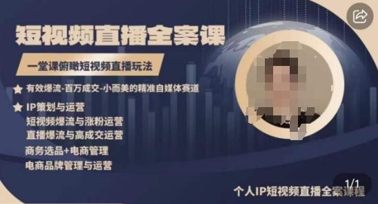 高品质IP短视频直播全案课程，一堂课俯瞰短视频直播玩法-泱泱学习社