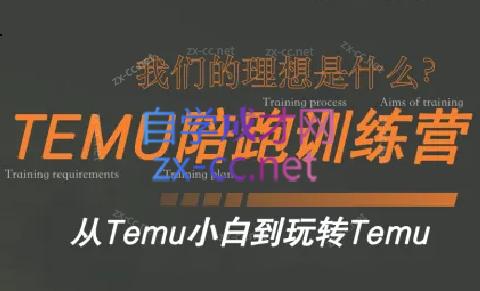 苗苗·拼多多跨境（temu）课程-泱泱学习社