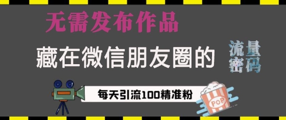 藏在微信朋友圈的流量密码，无需发布作品，单日引流100+精准创业粉【揭秘】-泱泱学习社