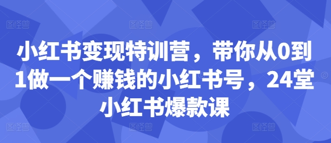 小红书变现特训营，带你从0到1做一个赚钱的小红书号，24堂小红书爆款课-泱泱学习社