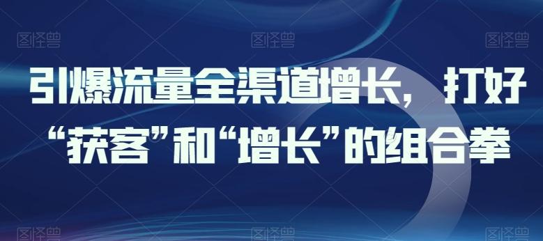 引爆流量全渠道增长，打好“获客”和“增长”的组合拳-泱泱学习社