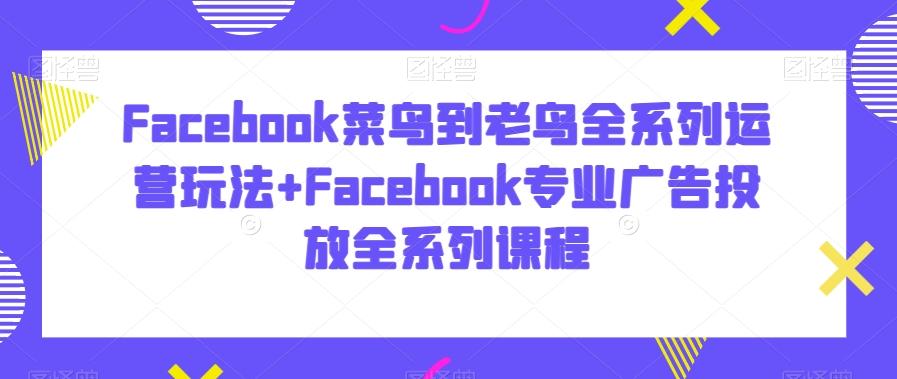 Facebook菜鸟到老鸟全系列运营玩法+Facebook专业广告投放全系列课程-泱泱学习社