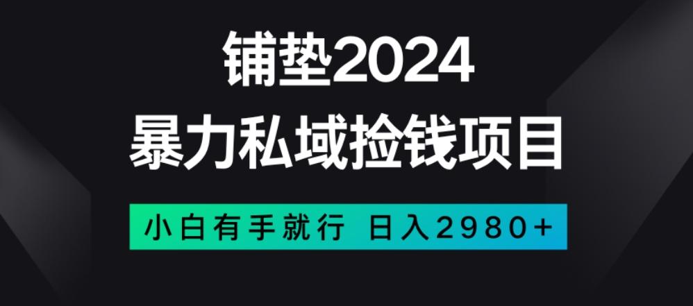 暴力私域捡钱项目，小白无脑操作，日入2980【揭秘】-泱泱学习社