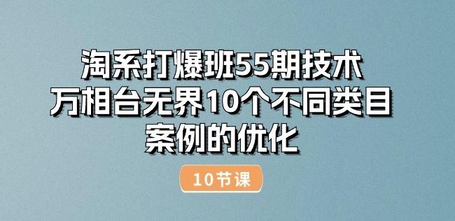 淘系打爆班55期技术：万相台无界10个不同类目案例的优化(10节)-泱泱学习社