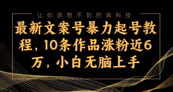 最新文案号暴力起号教程，10条作品涨粉近6万，小白无脑上手-泱泱学习社