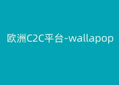 欧洲C2C平台-wallapop-kim跨境电商教程-泱泱学习社