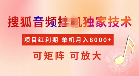 全网首发搜狐音频挂JI独家技术，项目红利期，可矩阵可放大，稳定月入8k【揭秘】-泱泱学习社