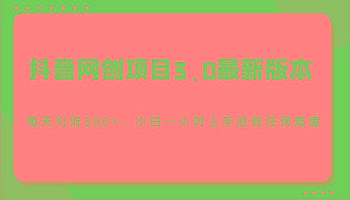 抖音网创项目3.0最新版本，每天引流300+，小白一小时上手没有任何难度-泱泱学习社