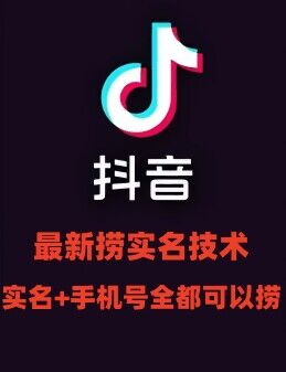 最新技术抖音捞实名+捞手机号技术，抖音直播封禁释放十名/手机号，直接替换出来!-泱泱学习社