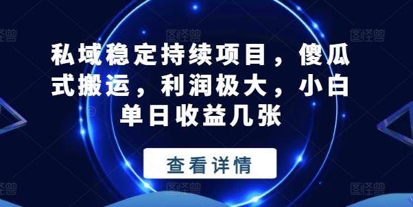 私域稳定持续项目，傻瓜式搬运，利润极大，小白单日收益几张【揭秘】-泱泱学习社