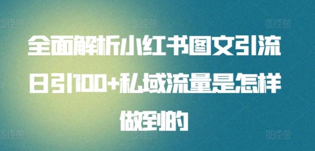 全面解析小红书图文引流日引100+私域流量是怎样做到的【揭秘】-泱泱学习社